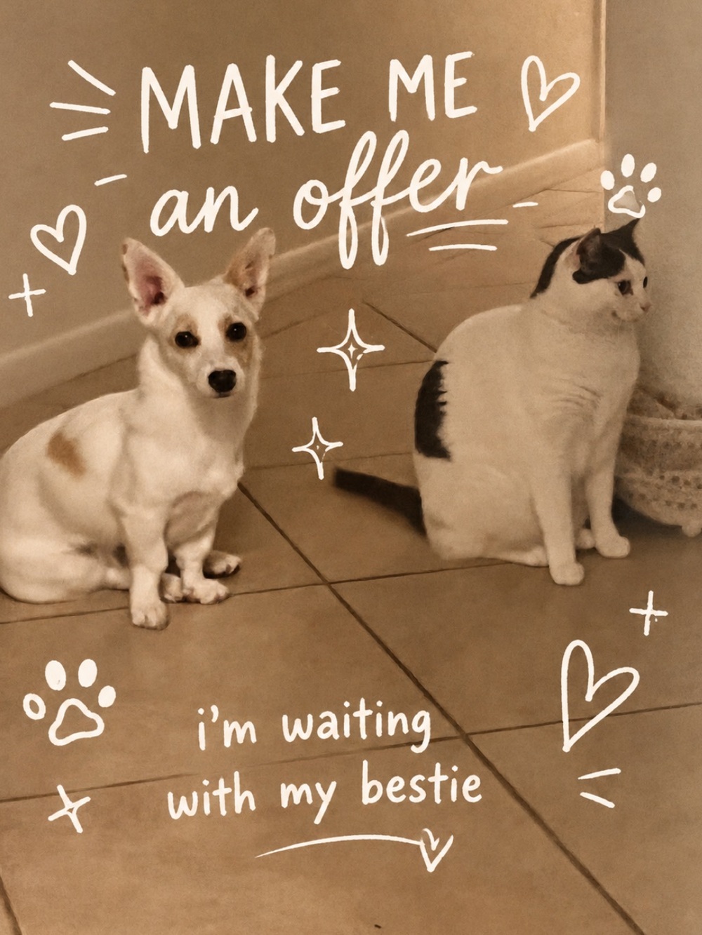 Make us an offer we can't refuse!